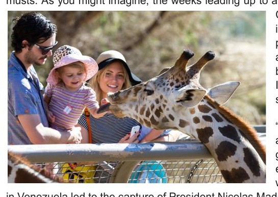 A family feeding a giraffe at Naples Zoo