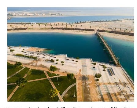 Aerial view of the NEOM development in Saudi Arabia