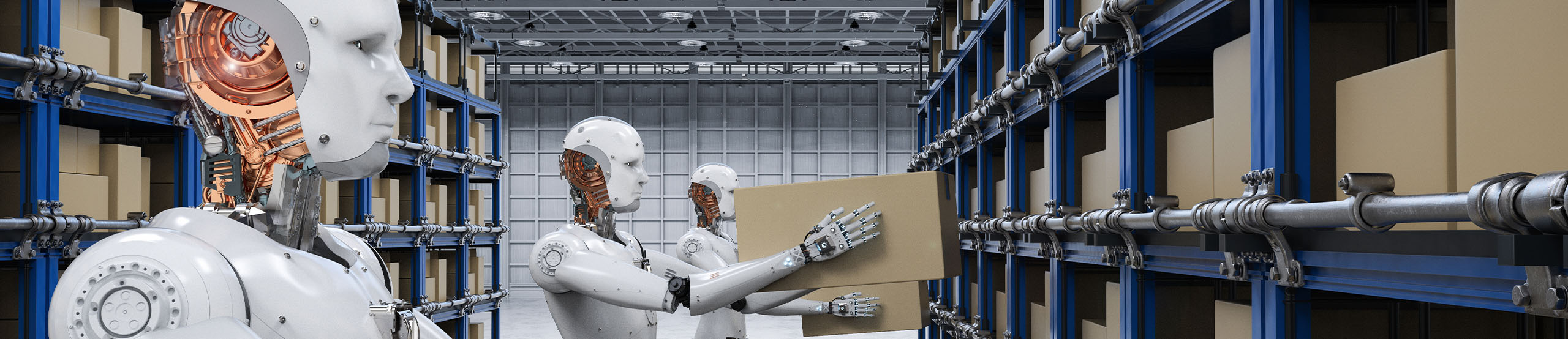 Robots Lifting Boxes | Naples Global Advisors, SEC Registered Investment Advisor
